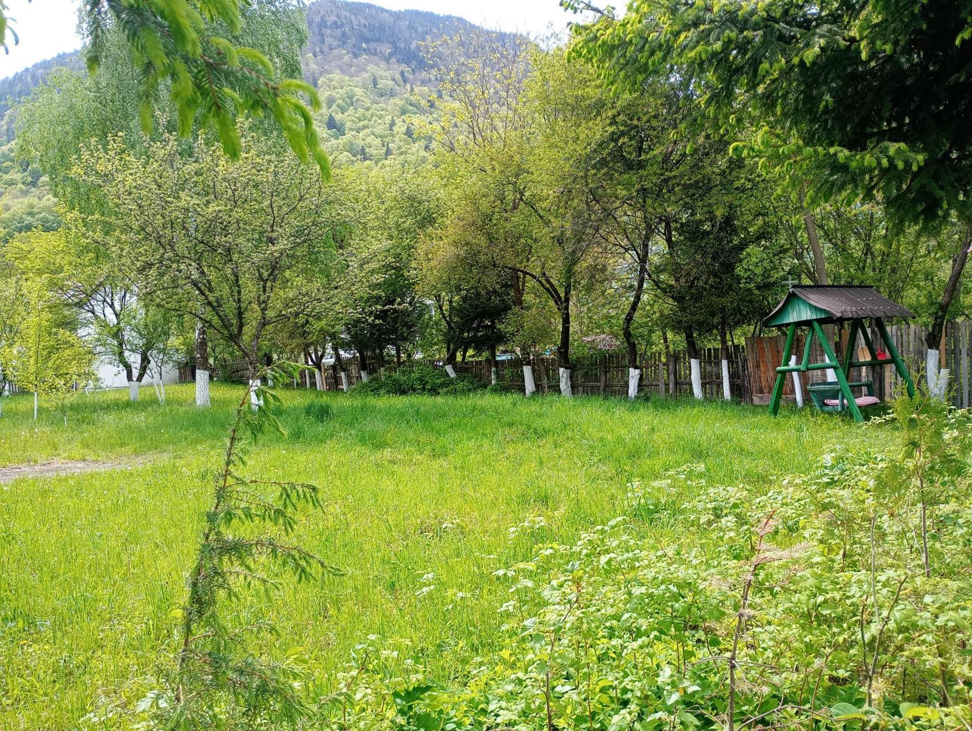 Pensiunea Irina 1 si 2 Zarnesti 1993-2006 Esterno foto