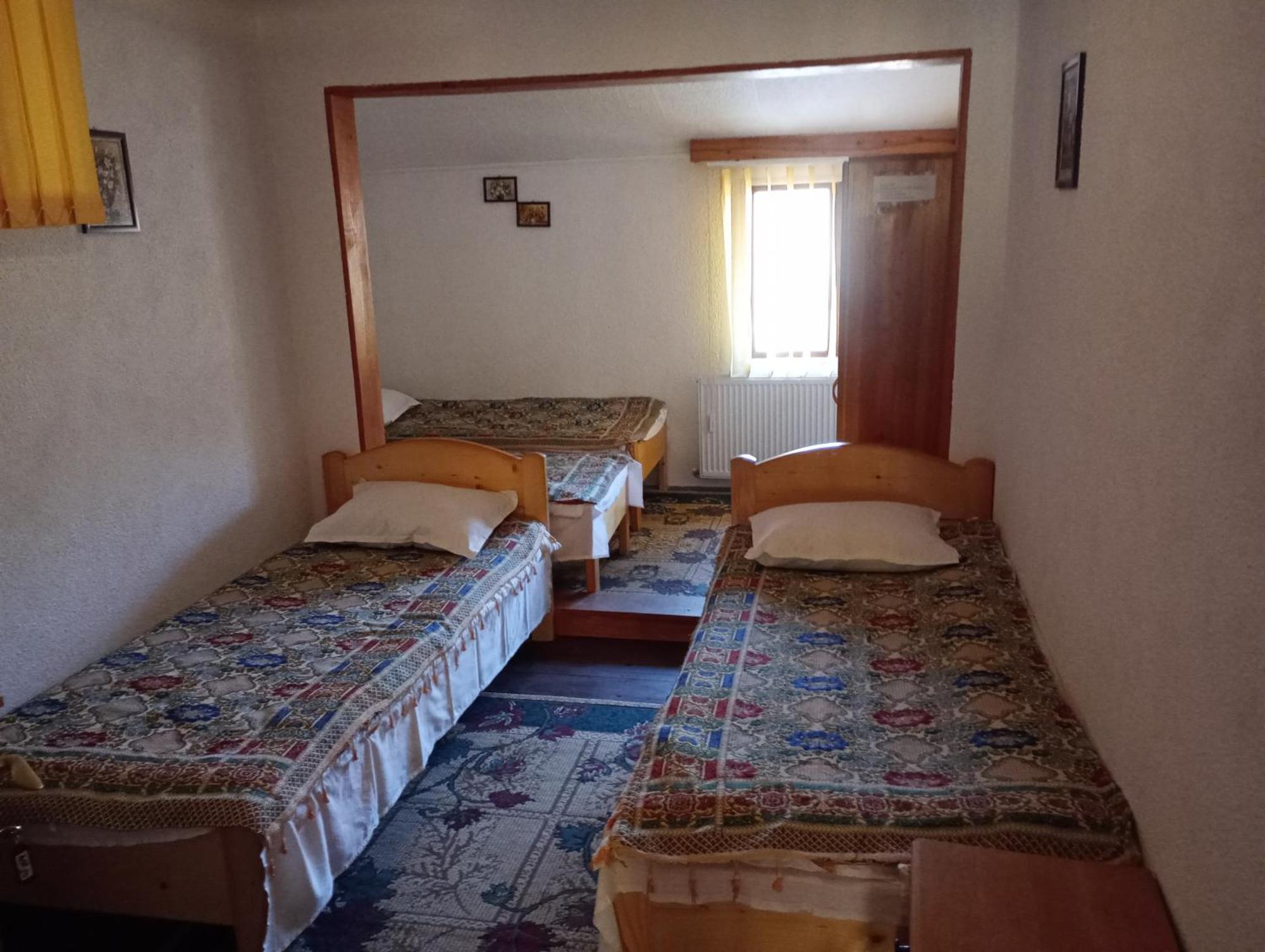 Pensiunea Irina 1 si 2 Zarnesti 1993-2006 Esterno foto