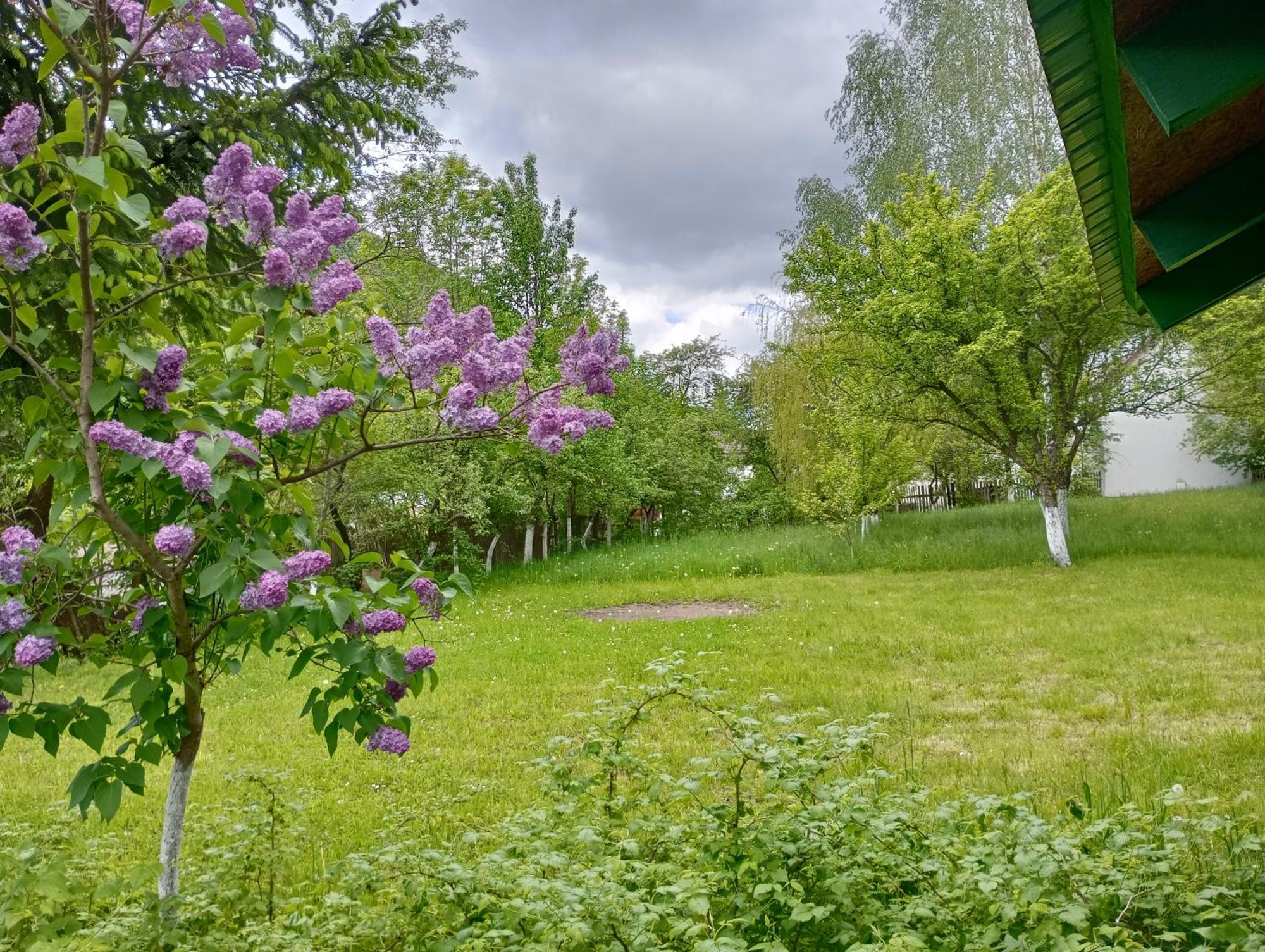 Pensiunea Irina 1 si 2 Zarnesti 1993-2006 Esterno foto