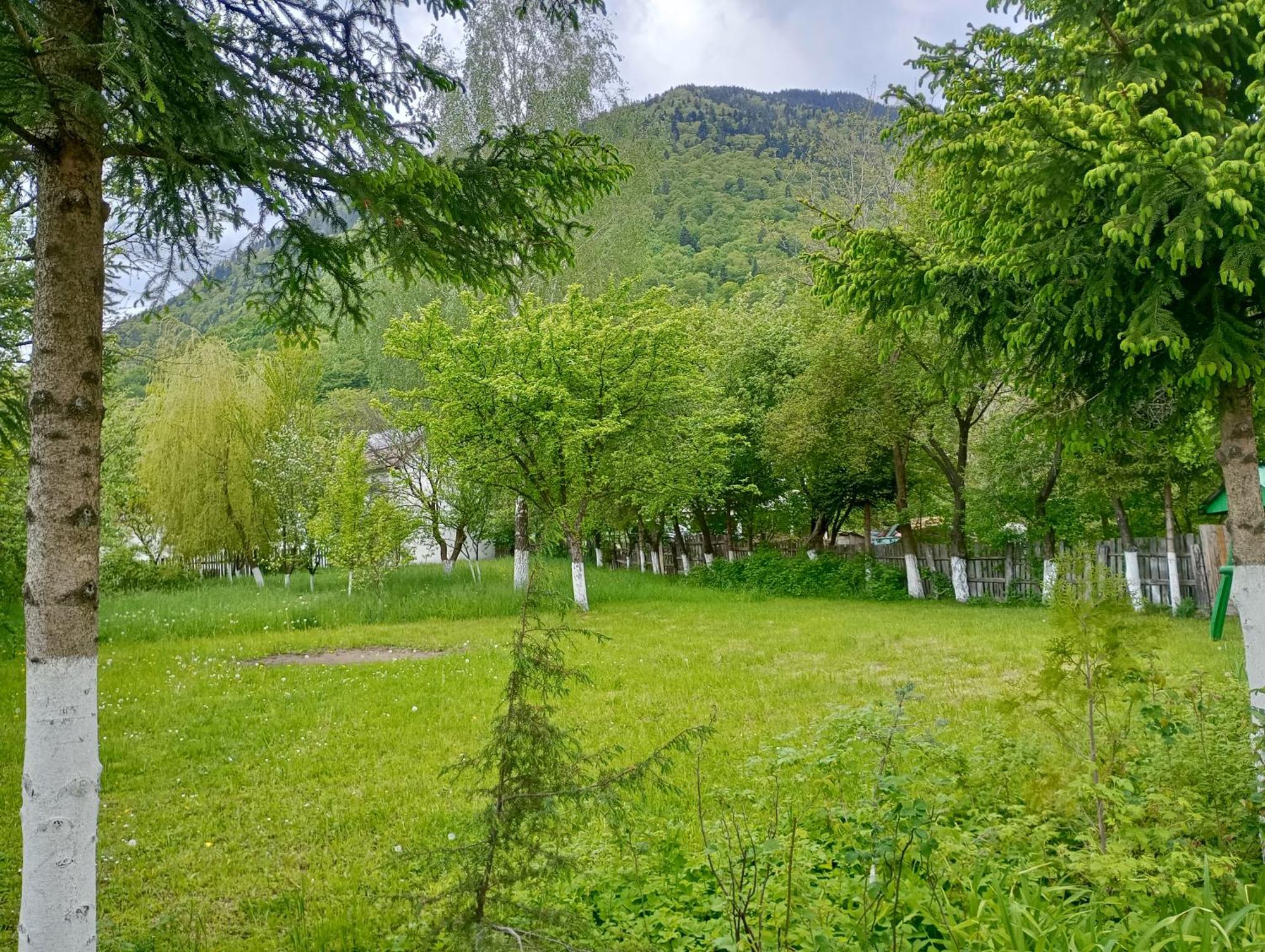 Pensiunea Irina 1 si 2 Zarnesti 1993-2006 Esterno foto